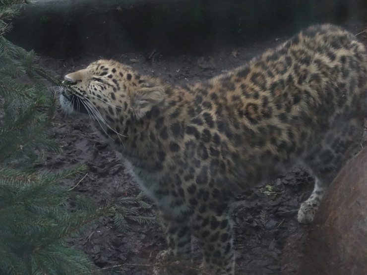 16797956_1718933441466892_1527395616503252087_o