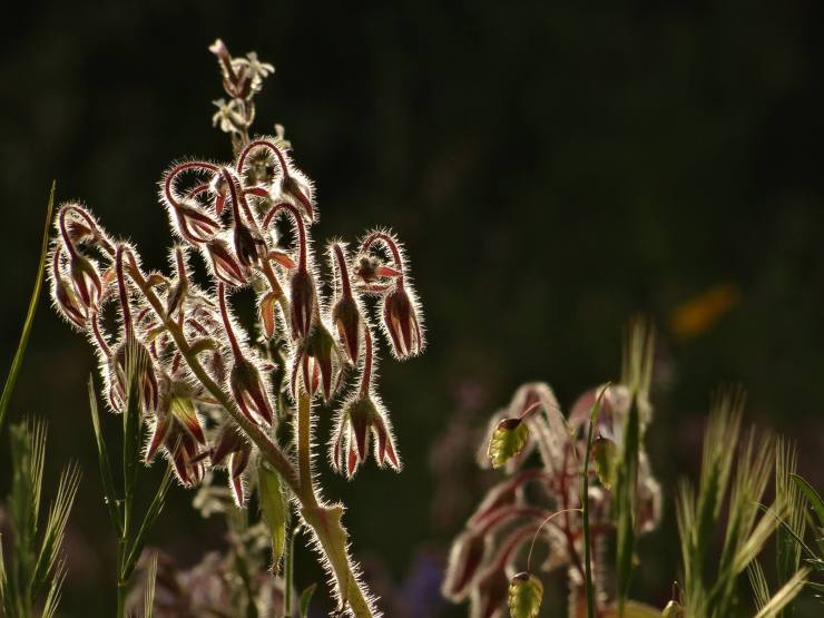 18238834_1820849591275276_6961033556649428562_o