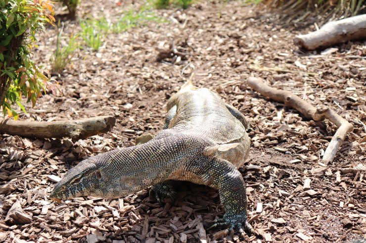 20180825142640_IMG_0152